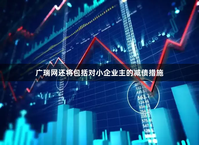 广瑞网还将包括对小企业主的减债措施
