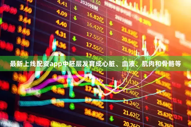 最新上线配资app中胚层发育成心脏、血液、肌肉和骨骼等