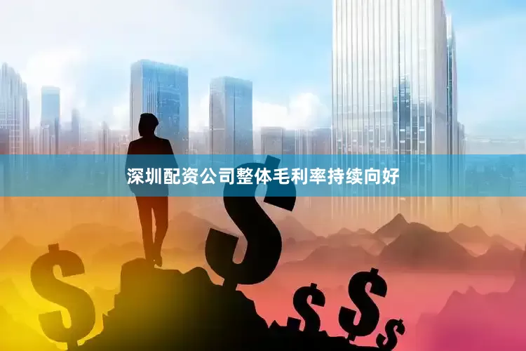深圳配资公司整体毛利率持续向好