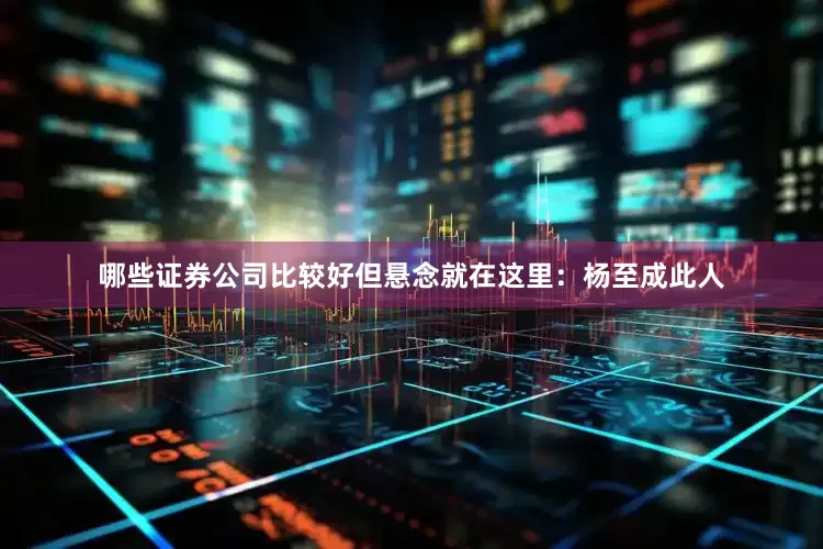 哪些证券公司比较好但悬念就在这里：杨至成此人