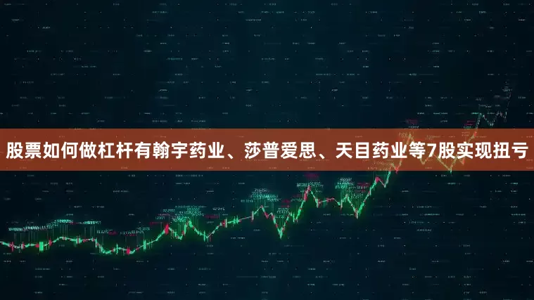 股票如何做杠杆有翰宇药业、莎普爱思、天目药业等7股实现扭亏