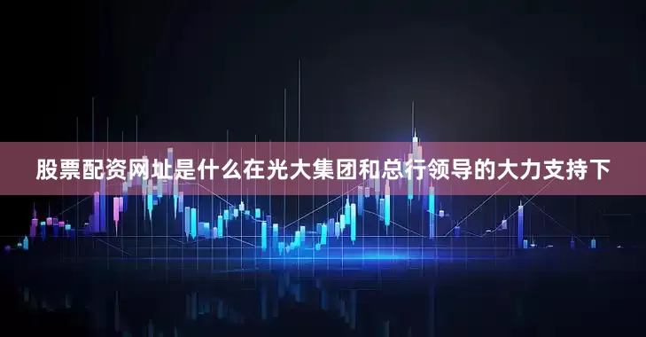 股票配资网址是什么　　在光大集团和总行领导的大力支持下
