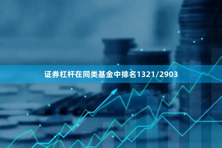 证券杠杆在同类基金中排名1321/2903