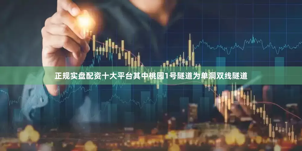 正规实盘配资十大平台其中桃园1号隧道为单洞双线隧道