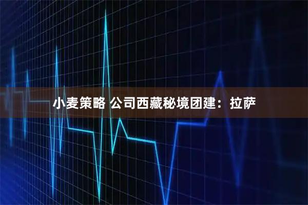 小麦策略 公司西藏秘境团建：拉萨